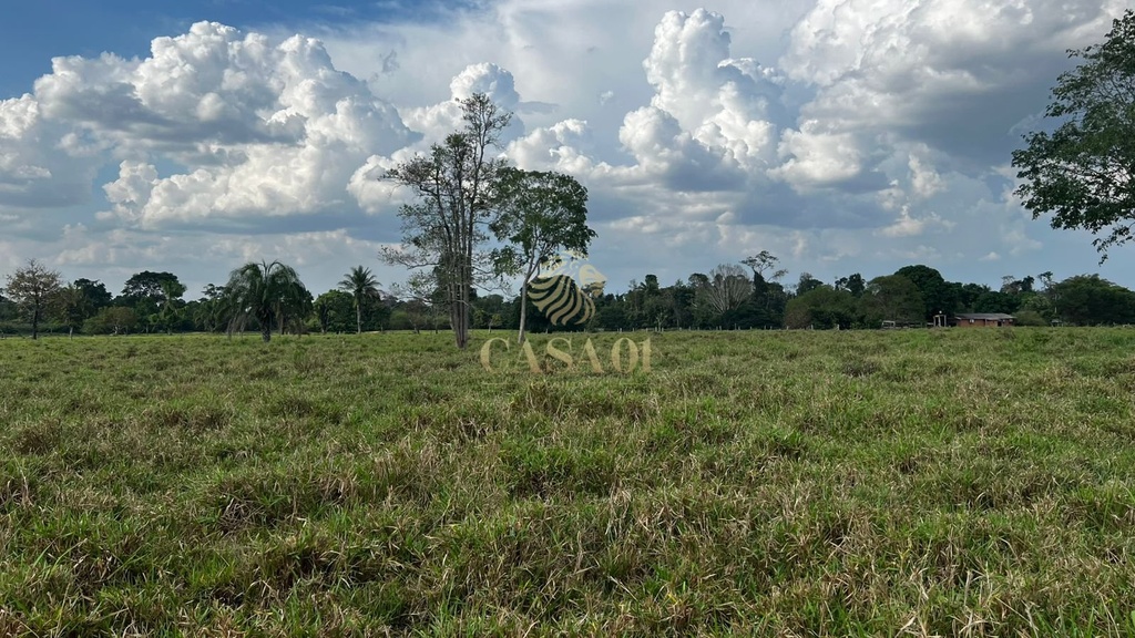 commercial-/-agricultural-area-rural-cacoal-ro