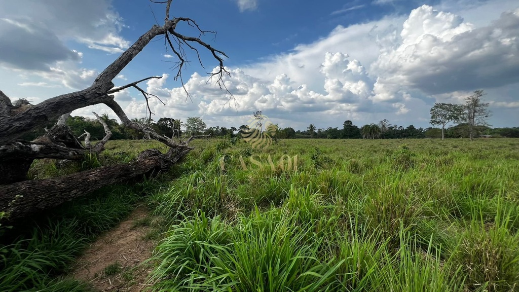 commercial-/-agricultural-area-rural-cacoal-ro