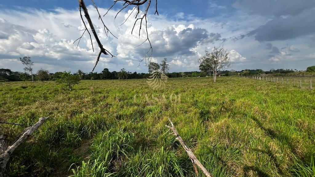 commercial-/-agricultural-area-rural-cacoal-ro