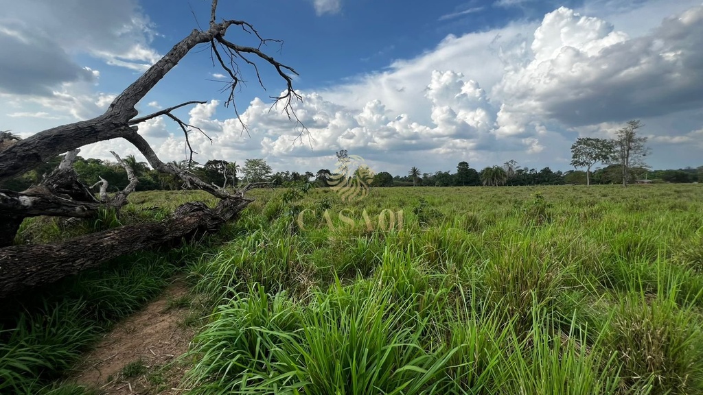 commercial-/-agricultural-area-rural-cacoal-ro