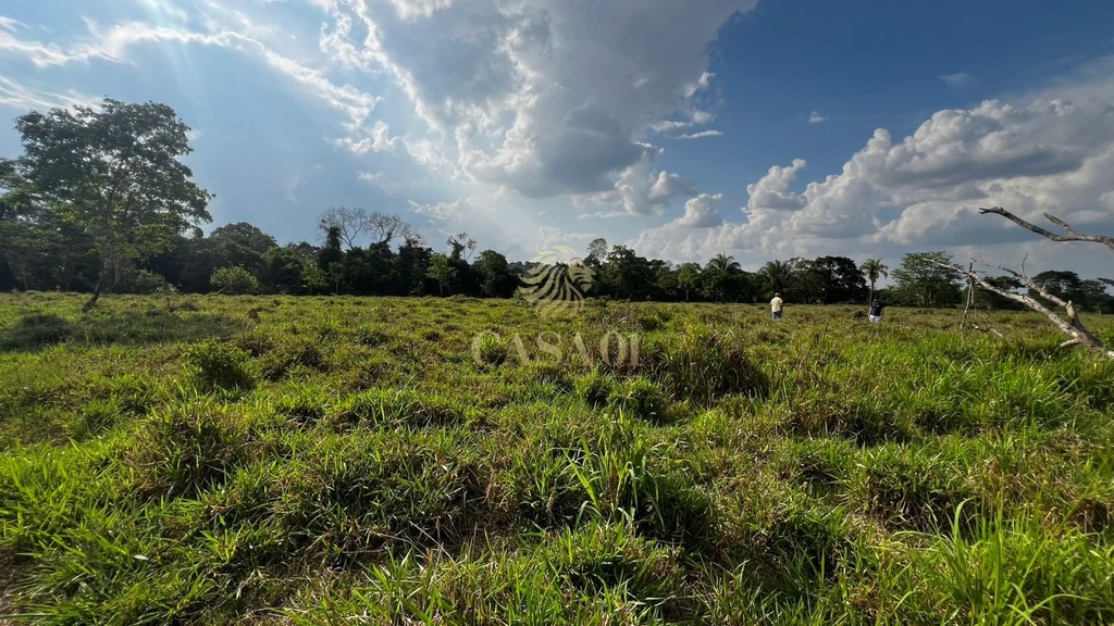 commercial-/-agricultural-area-rural-cacoal-ro