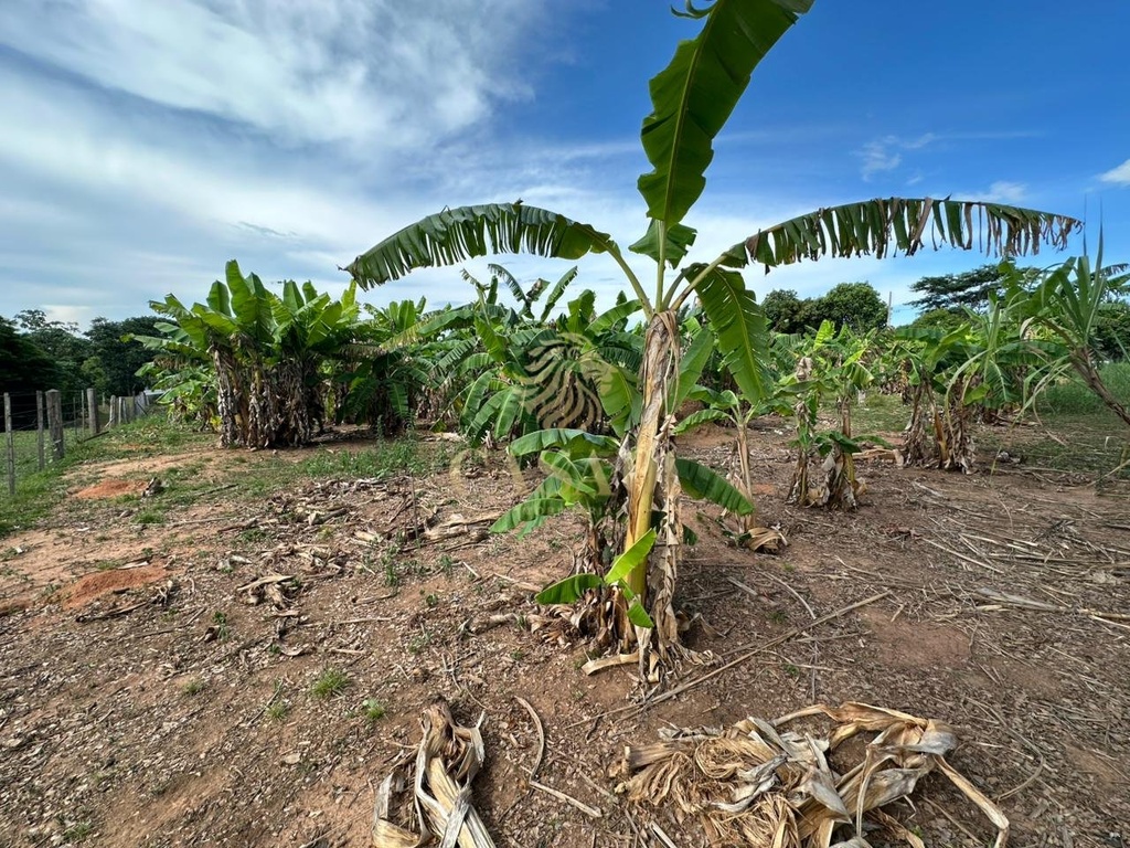 commercial-/-agricultural-area-rural-cacoal-ro