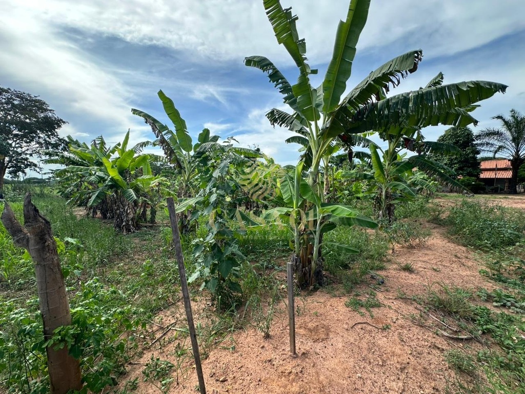 commercial-/-agricultural-area-rural-cacoal-ro