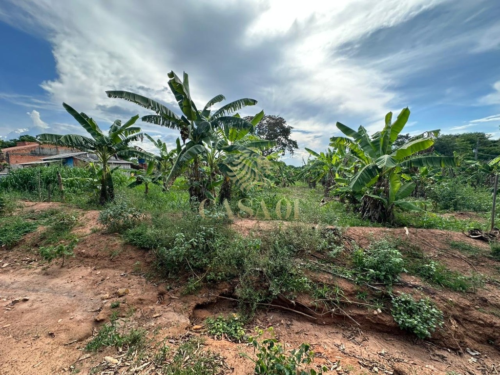 commercial-/-agricultural-area-rural-cacoal-ro