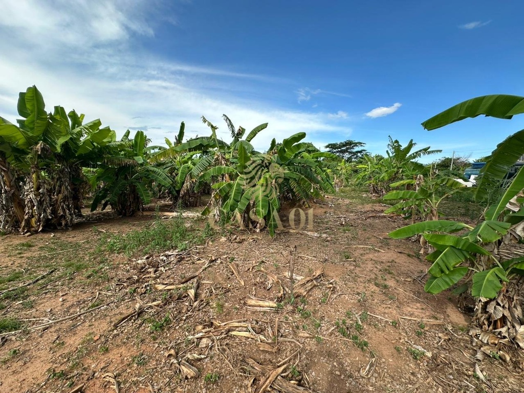 commercial-/-agricultural-area-rural-cacoal-ro