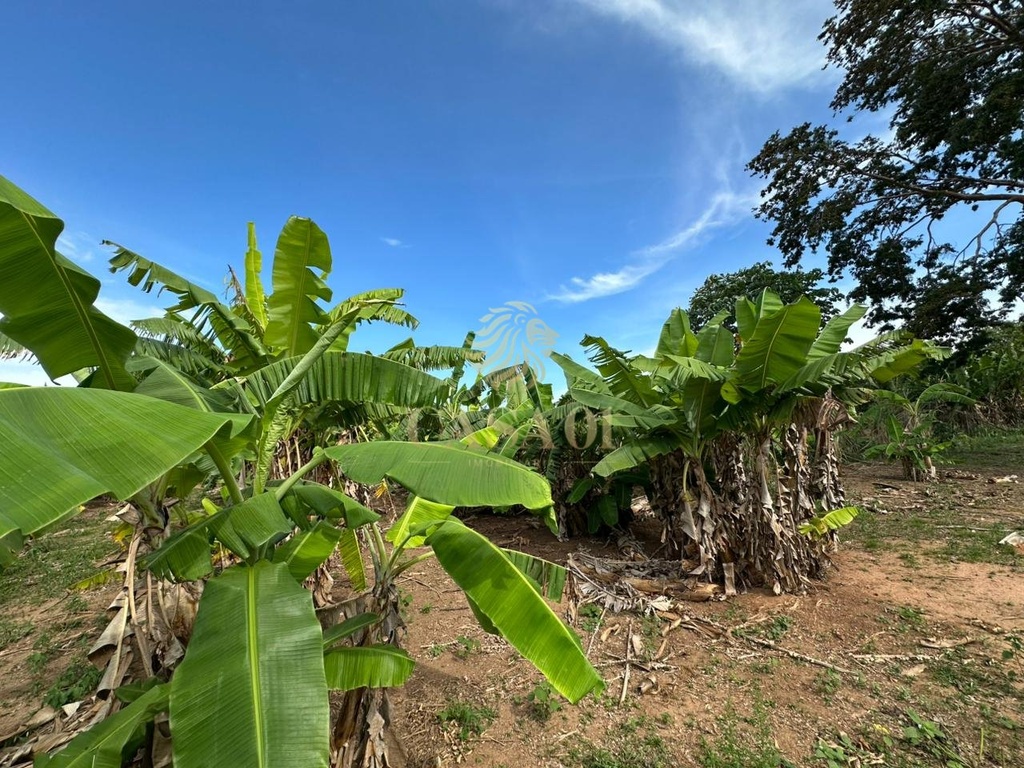 commercial-/-agricultural-area-rural-cacoal-ro