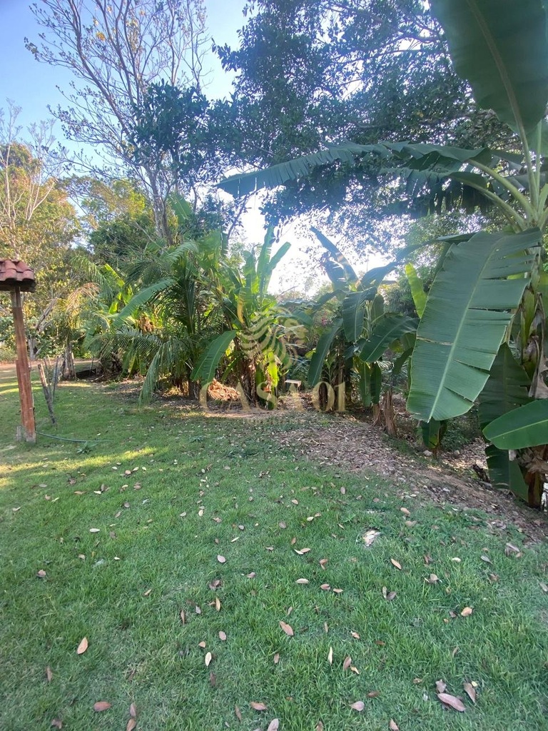 commercial-/-agricultural-1-quartos-area-rural-cacoal-ro