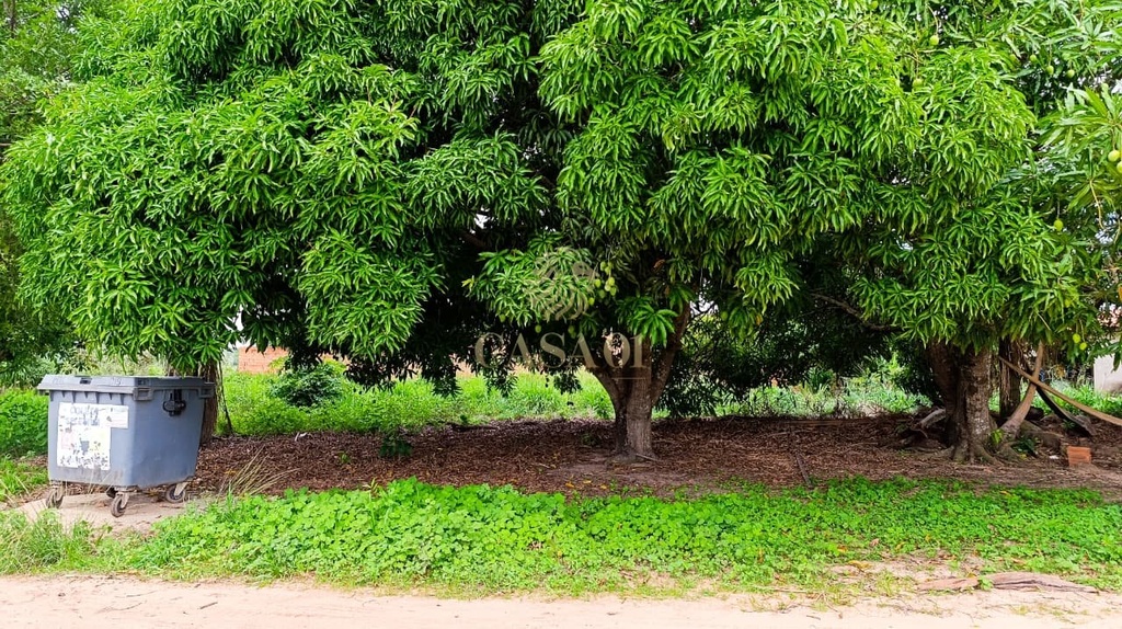 residential-/-land-lot-morada-digna-cacoal-ro