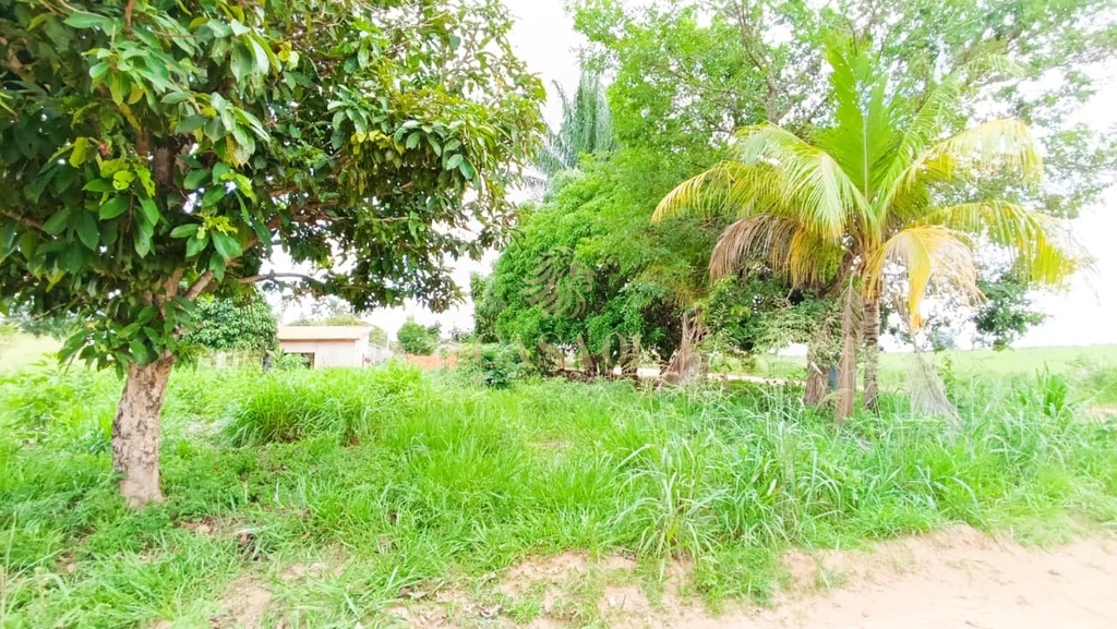 residential-/-land-lot-morada-digna-cacoal-ro