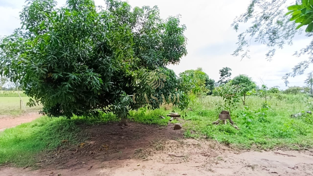 residential-/-land-lot-morada-digna-cacoal-ro