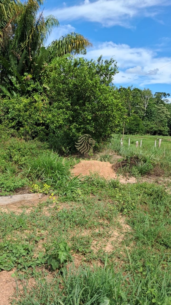 commercial-/-agricultural-area-rural-cacoal-ro