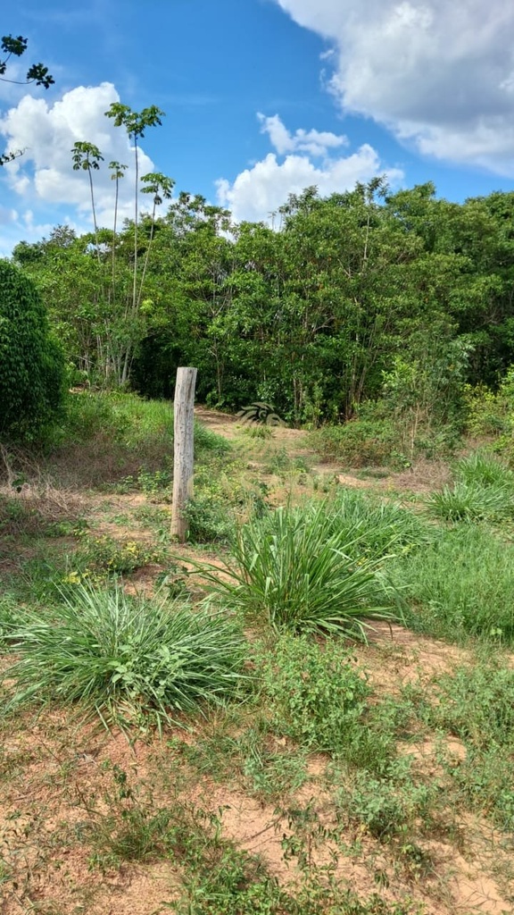 commercial-/-agricultural-area-rural-cacoal-ro