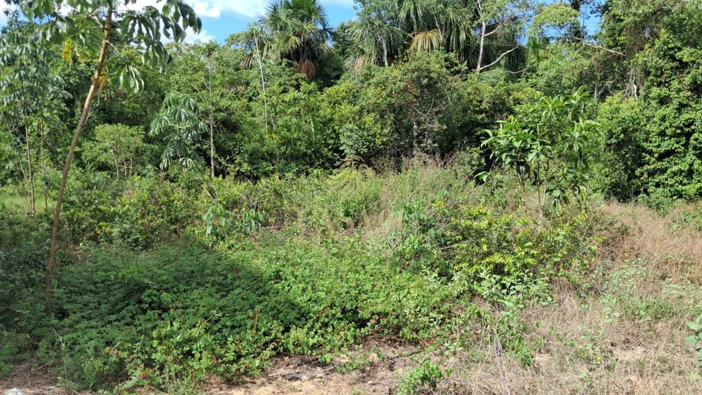 commercial-/-agricultural-area-rural-cacoal-ro
