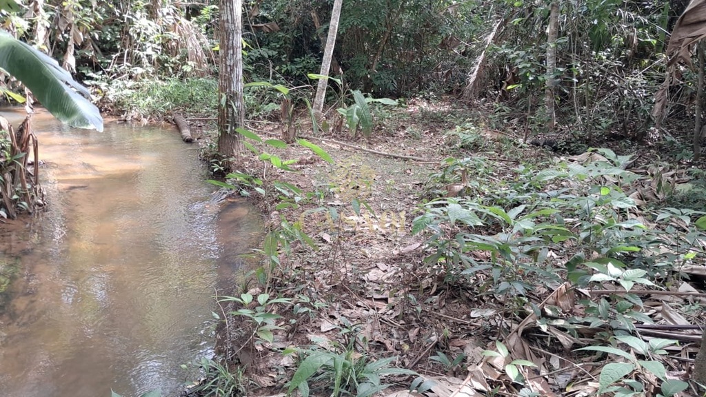 commercial-/-agricultural-area-rural-cacoal-ro