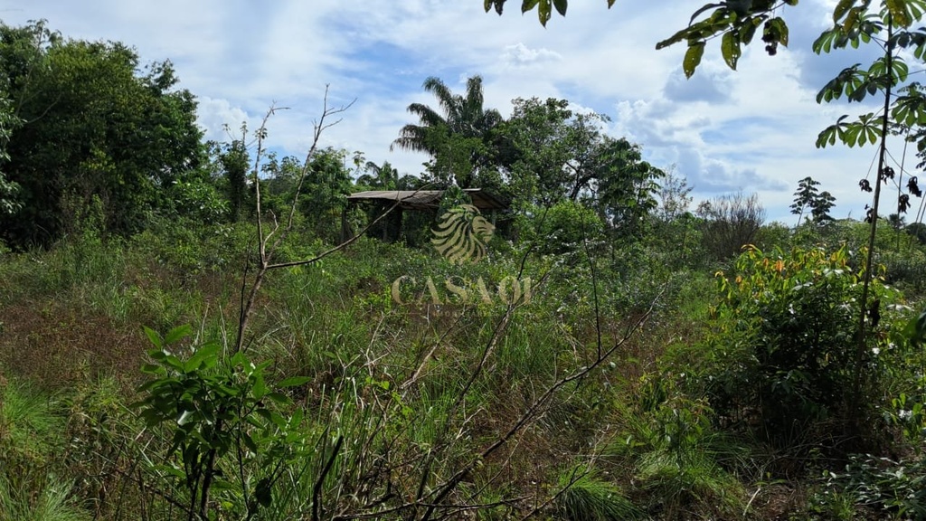 commercial-/-agricultural-area-rural-cacoal-ro