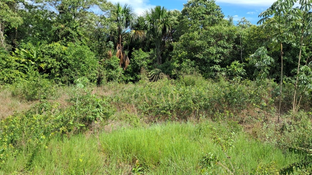 commercial-/-agricultural-area-rural-cacoal-ro