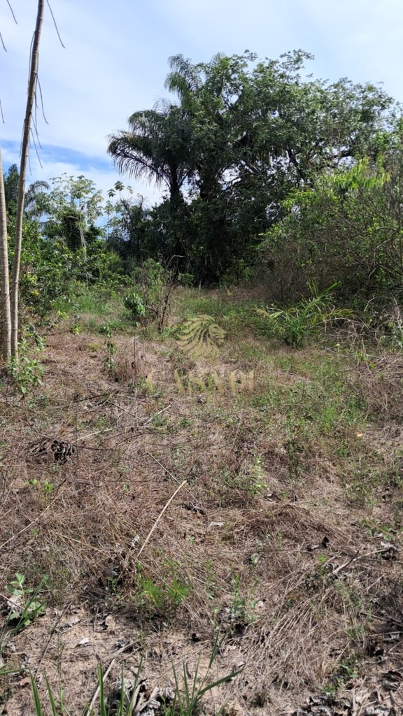 commercial-/-agricultural-area-rural-cacoal-ro