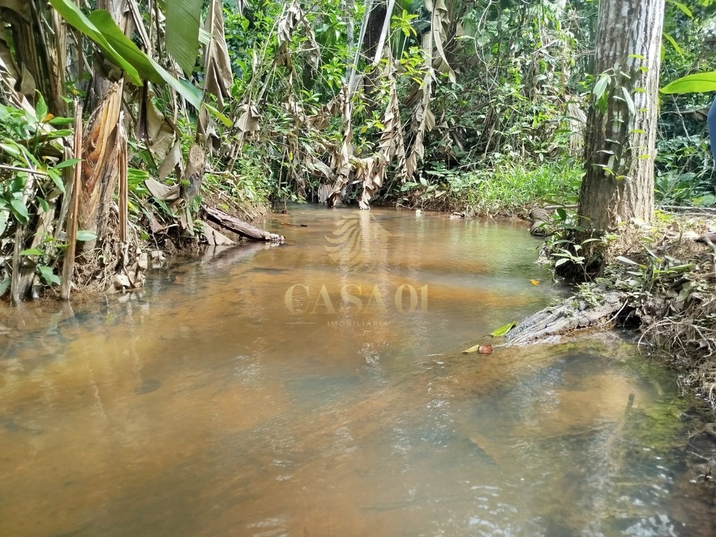 commercial-/-agricultural-area-rural-cacoal-ro