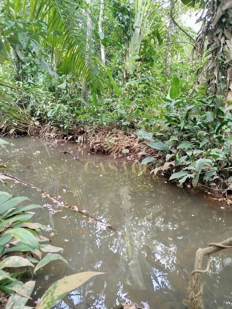commercial-/-agricultural-area-rural-cacoal-ro