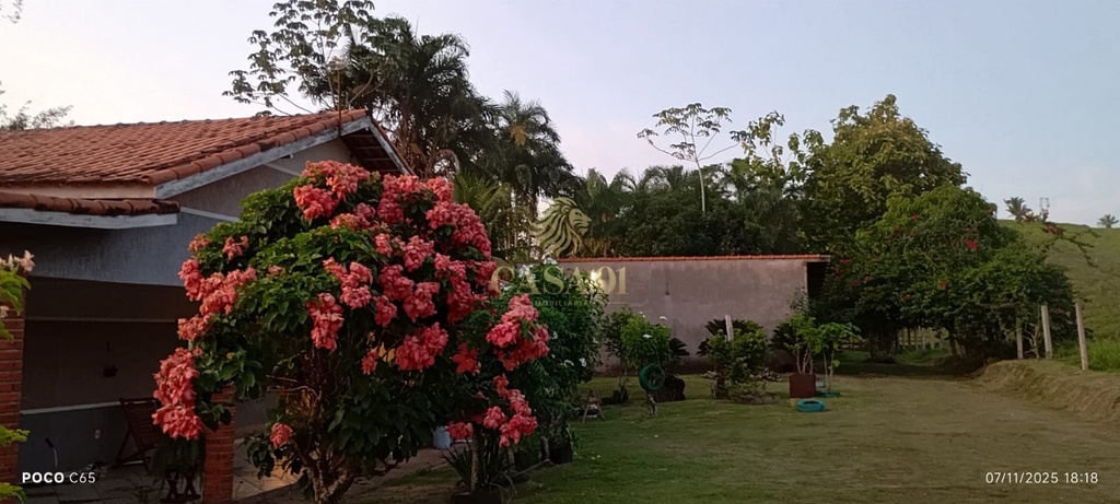 commercial-/-agricultural-area-rural-cacoal-ro
