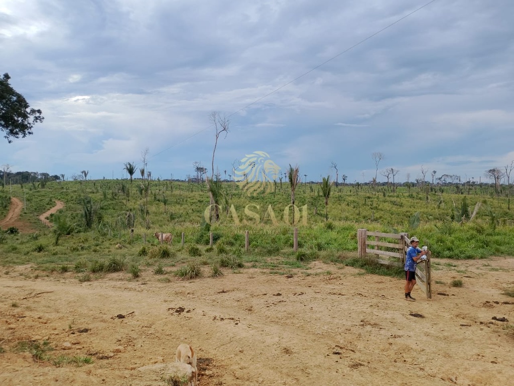 commercial-/-agricultural-2-quartos-area-rural-rondolandia-mt