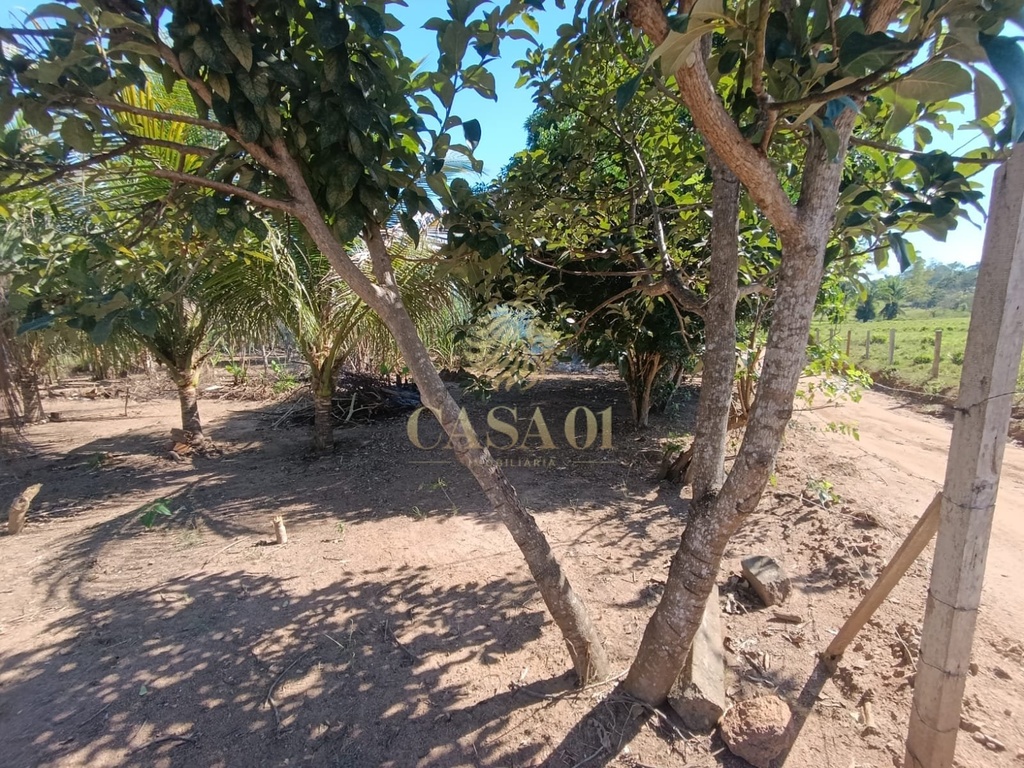 commercial-/-agricultural-area-rural-cacoal-ro