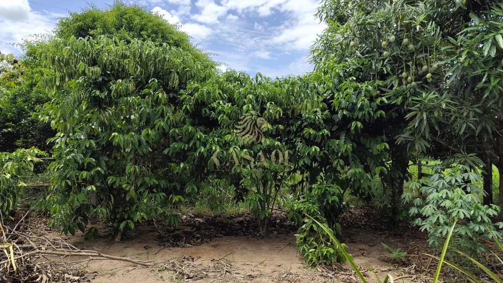 commercial-/-agricultural-area-rural-cacoal-ro