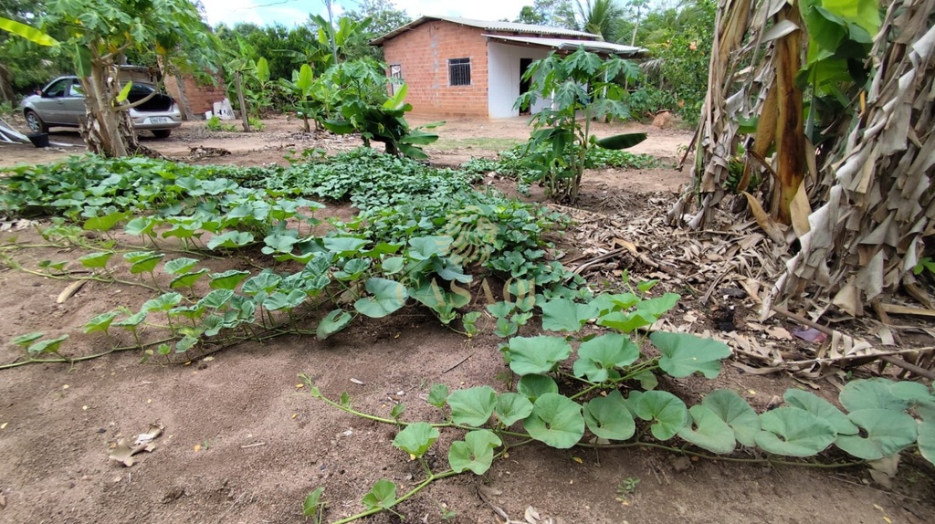 commercial-/-agricultural-area-rural-cacoal-ro
