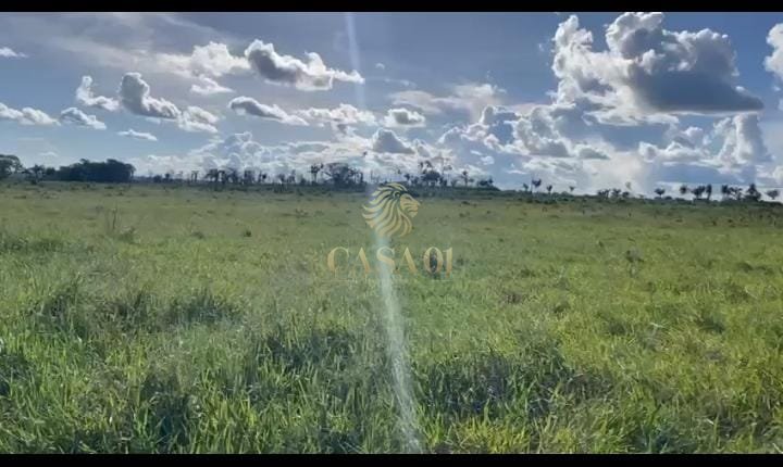 commercial-/-agricultural-area-rural-pimenta-bueno-ro