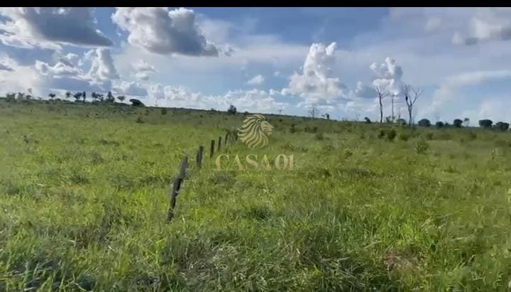 commercial-/-agricultural-area-rural-pimenta-bueno-ro
