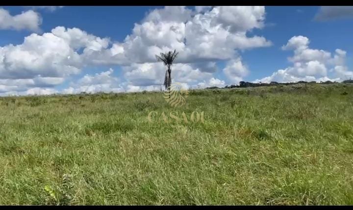 commercial-/-agricultural-area-rural-pimenta-bueno-ro