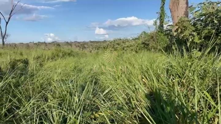 commercial-/-agricultural-area-rural-pimenta-bueno-ro