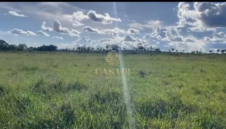 commercial-/-agricultural-area-rural-pimenta-bueno-ro