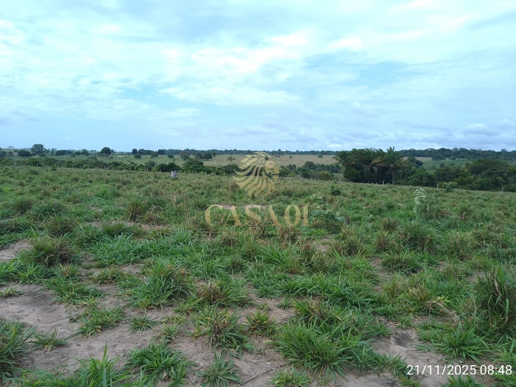 commercial-/-agricultural-3-quartos-area-rural-chupinguaia-ro