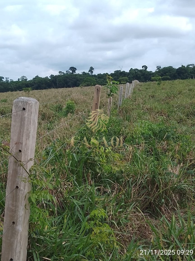 commercial-/-agricultural-3-quartos-area-rural-chupinguaia-ro