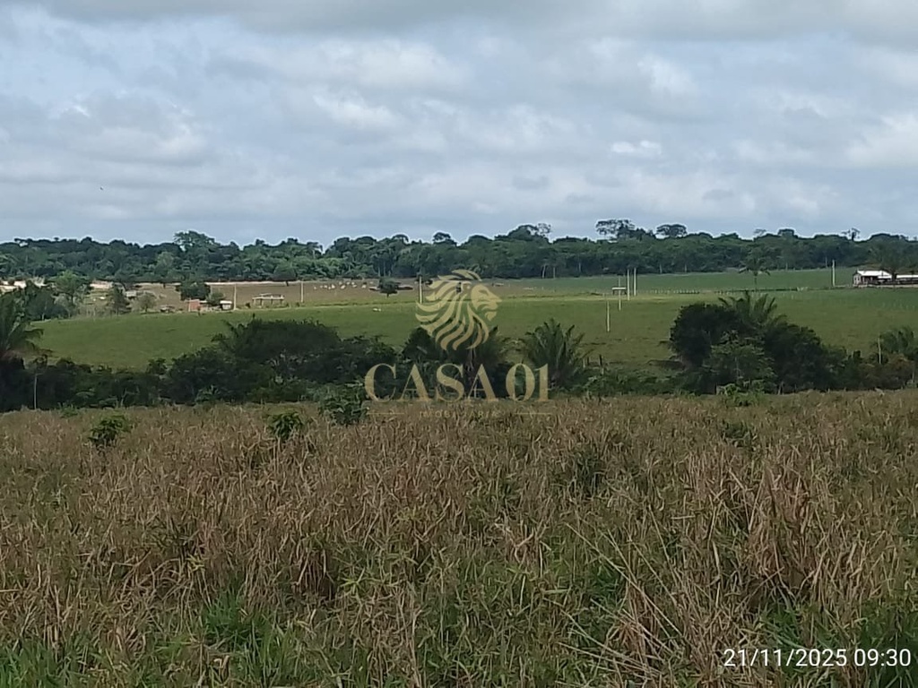 commercial-/-agricultural-3-quartos-area-rural-chupinguaia-ro
