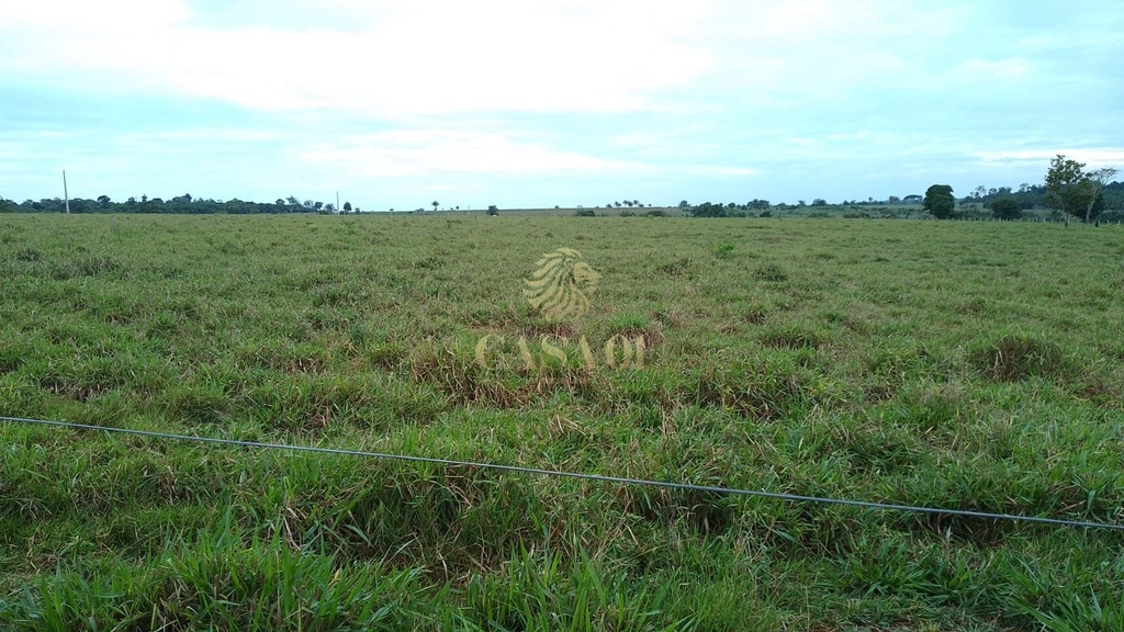 commercial-/-agricultural-3-quartos-area-rural-chupinguaia-ro