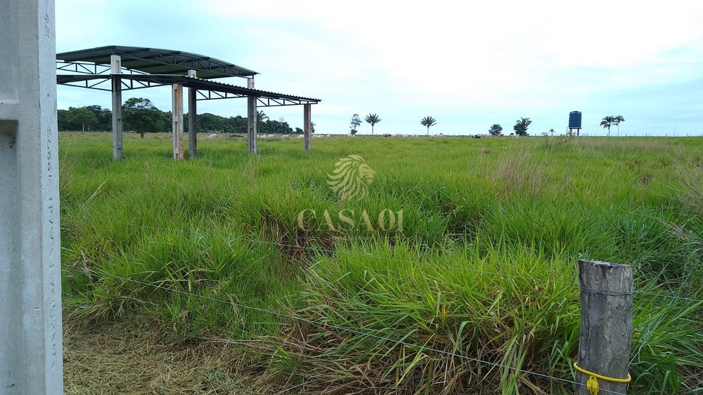 commercial-/-agricultural-3-quartos-area-rural-chupinguaia-ro