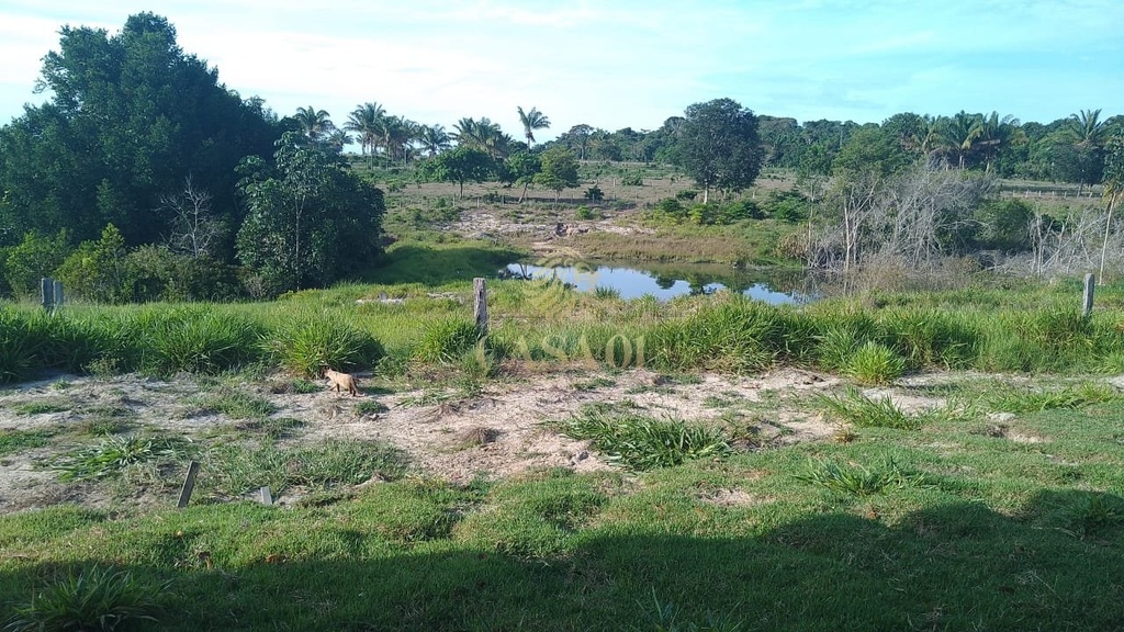 commercial-/-agricultural-3-quartos-area-rural-chupinguaia-ro