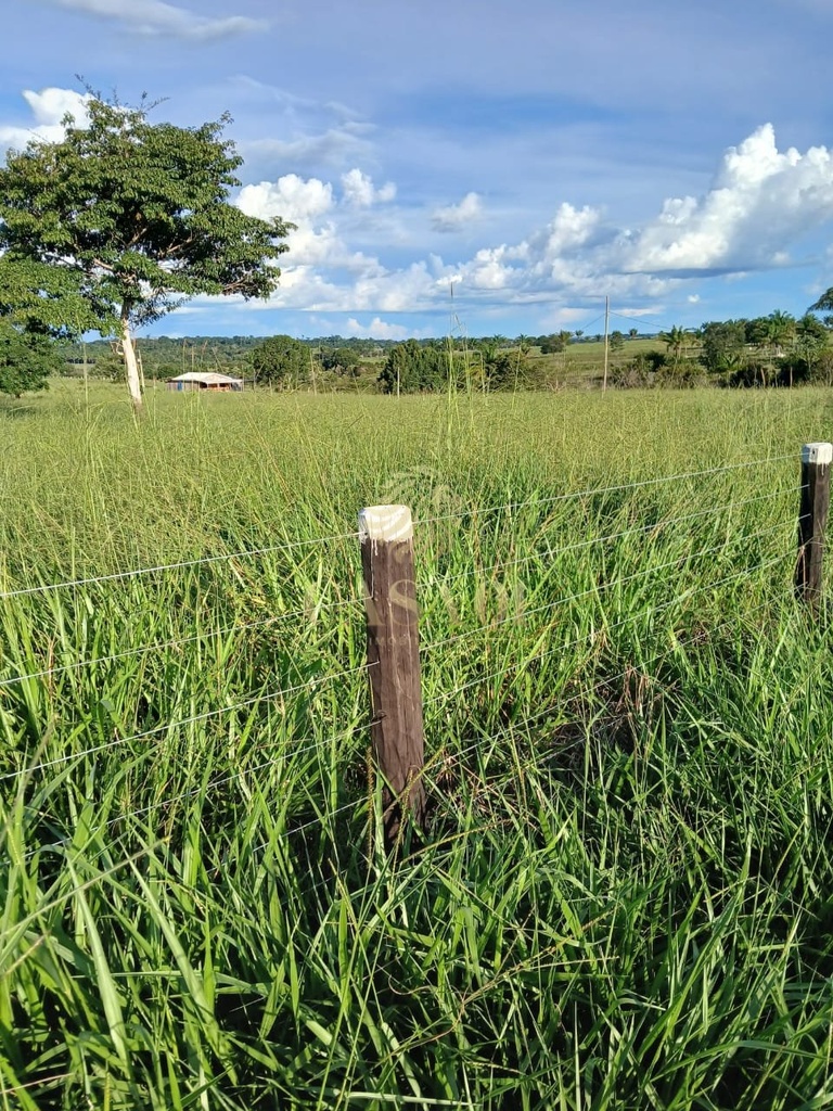 commercial-/-agricultural-3-quartos-area-rural-chupinguaia-ro