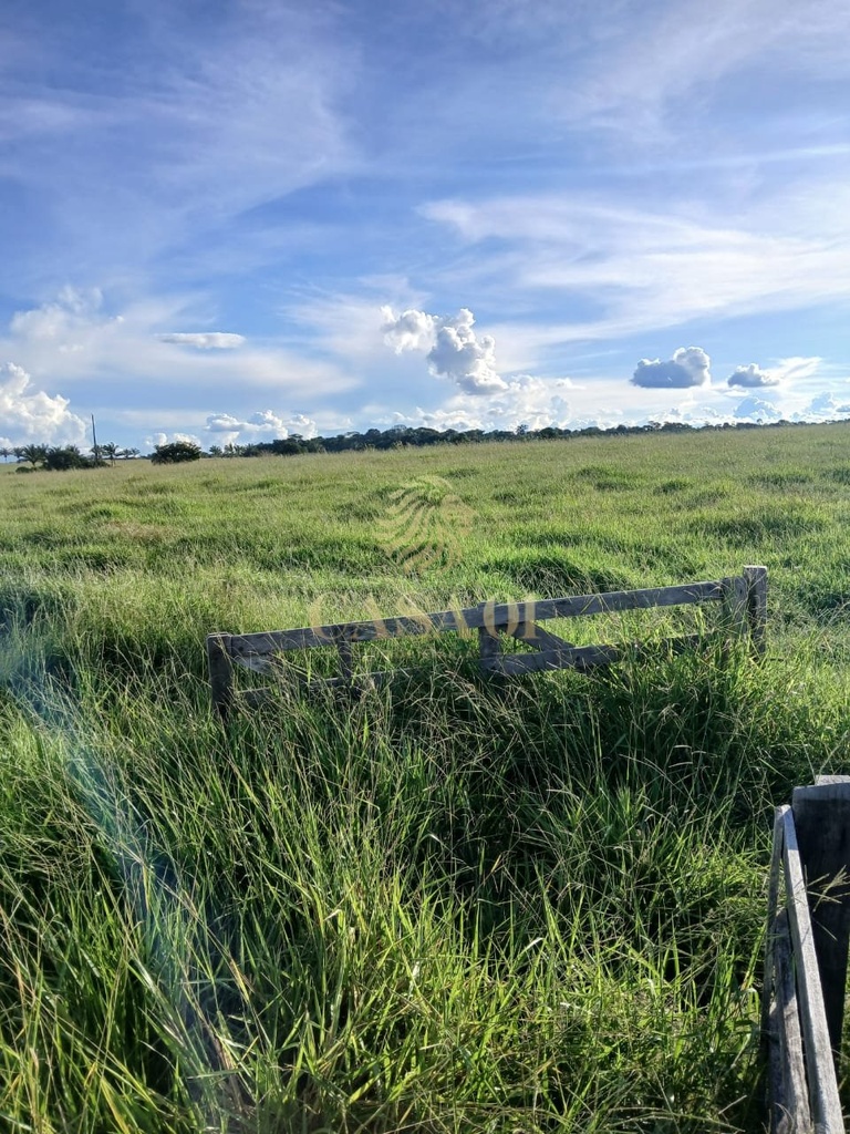commercial-/-agricultural-3-quartos-area-rural-chupinguaia-ro