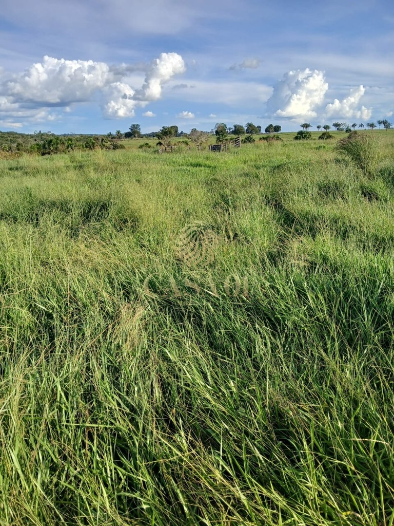 commercial-/-agricultural-3-quartos-area-rural-chupinguaia-ro