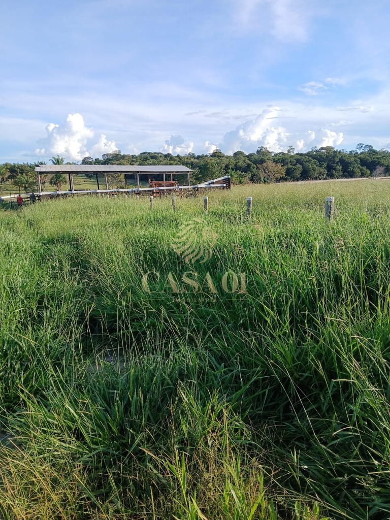 commercial-/-agricultural-3-quartos-area-rural-chupinguaia-ro