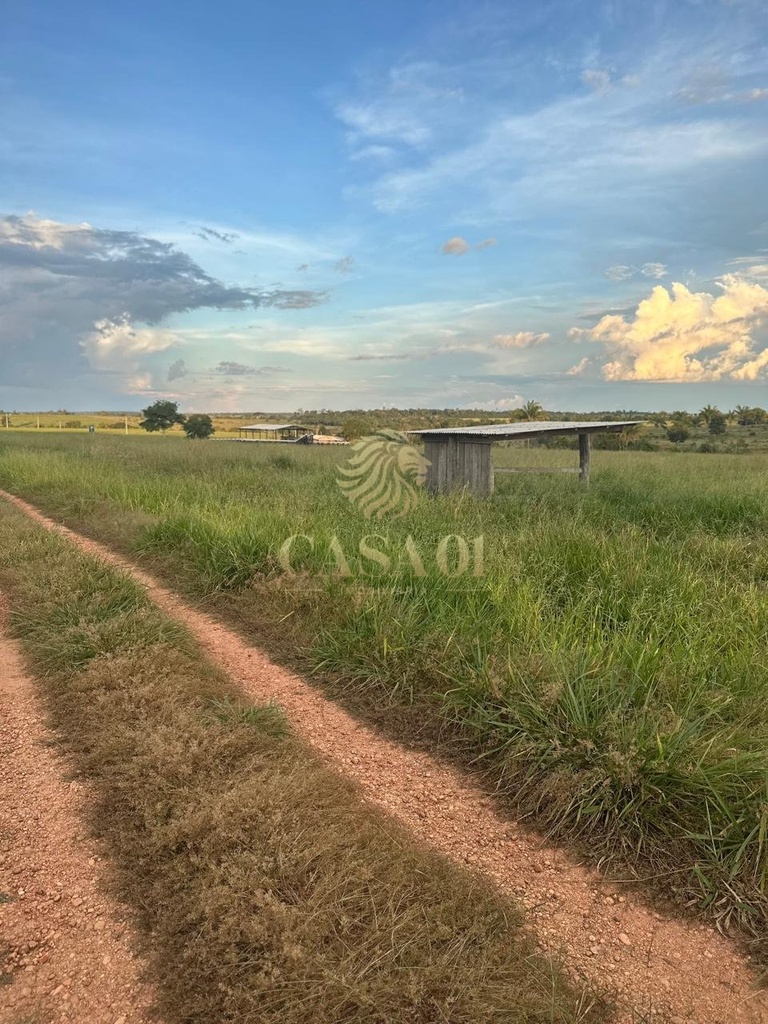 commercial-/-agricultural-3-quartos-area-rural-chupinguaia-ro