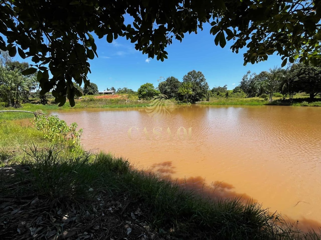 commercial-/-agricultural-area-rural-cacoal-ro
