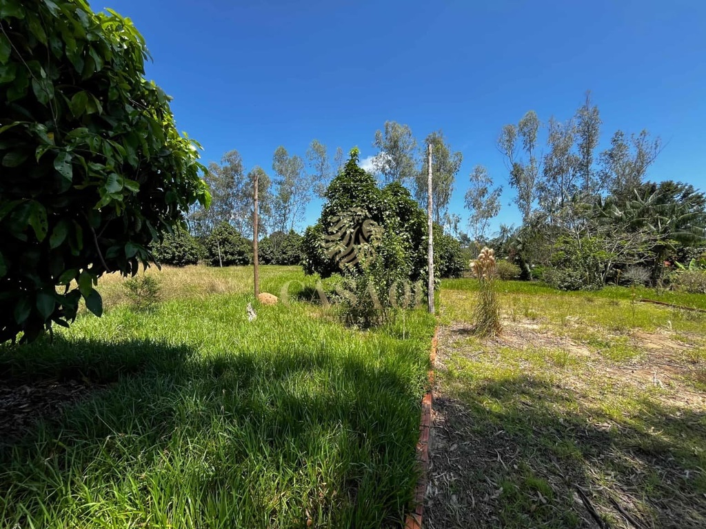 commercial-/-agricultural-area-rural-cacoal-ro