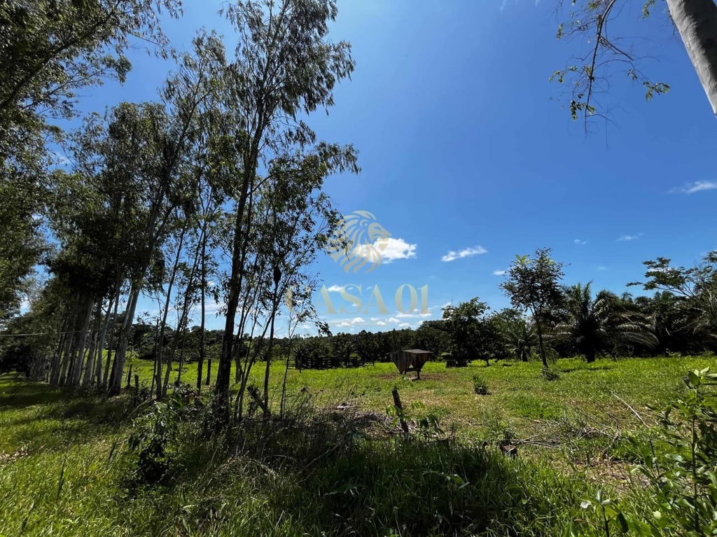 commercial-/-agricultural-area-rural-cacoal-ro
