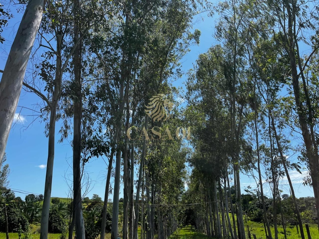 commercial-/-agricultural-area-rural-cacoal-ro