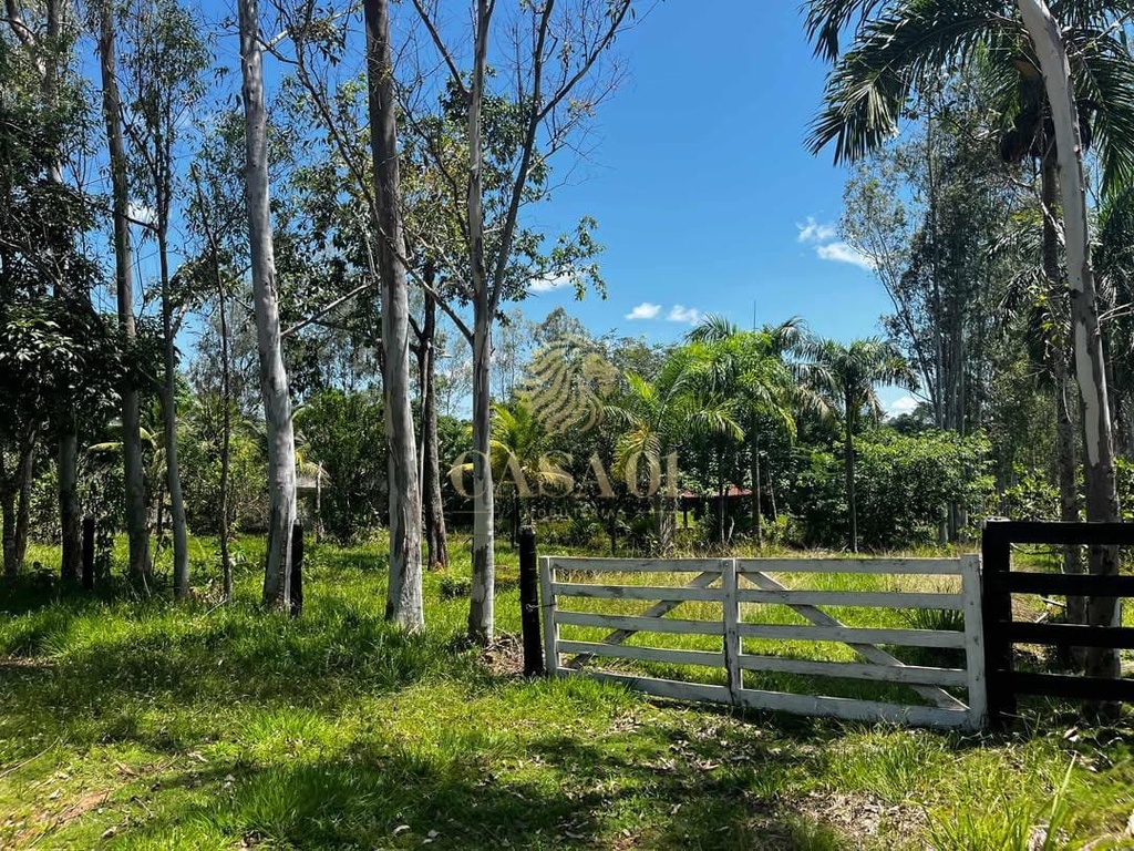 commercial-/-agricultural-area-rural-cacoal-ro