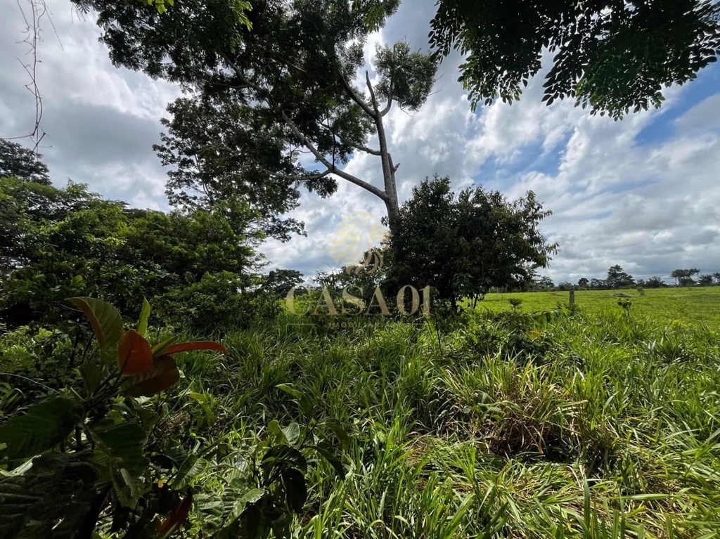 commercial-/-agricultural-area-rural-cacoal-ro